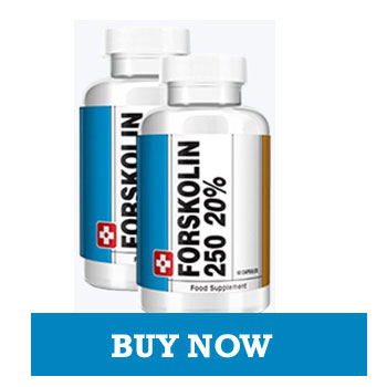 Pure Forskolin Coleus forskohlii extracts for weight loss