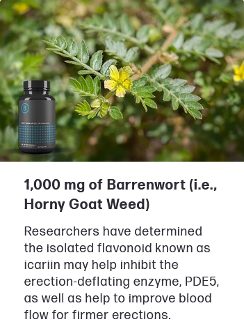 Horny Goat weed